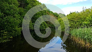 Lopwell dam Pond . River Tavy photo