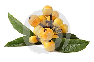 Loquat fruit