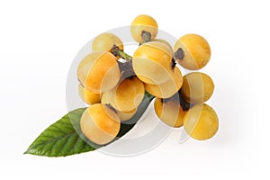 Loquat fruit