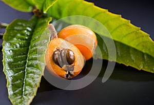 Loquat fruit or Japanese medlars, Nispero, Eriobotrya japonica with leaves fresh ripe bio vegetarian food,