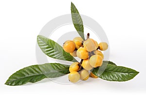 Loquat fruits