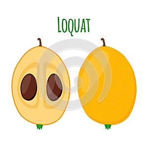 Loquat tropical fruit in cartoon flat style. Exotic tropical nutrition