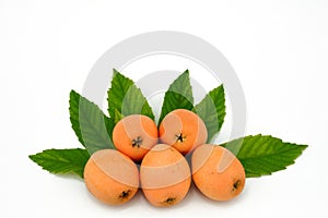 loquats with green leaves on the white background