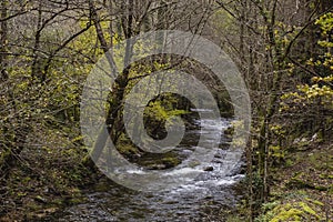 Lor River in Serra Do Courel photo