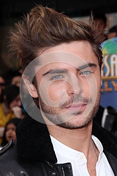 The Lorax, Zac Efron