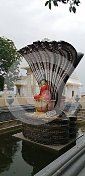 The Lord Buddha Being Sheltered by Muchalinda King of Naghas State at the Nagadeepaya Temple, Jaffna, Sri Lanka