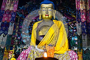 Lord Buddha In Ghoom photo