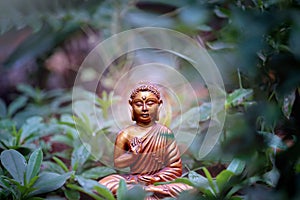 Lord Buddha with positive indication.