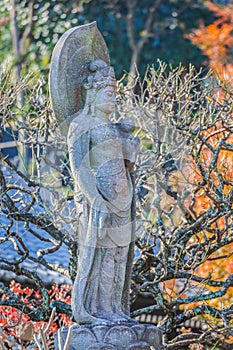 Lord of Compassion at Haseder Temple in Kamakura