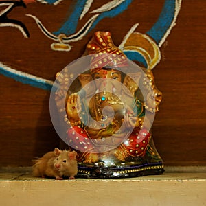 Lord ganesha and my hamster photo