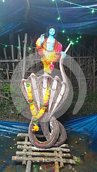 Lord Krishna on the snake