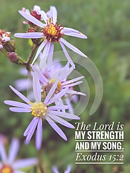 The Lord is my strength and my song.