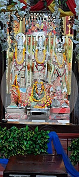 Lord rama sita and lakshman in ram janki ji mandir prayagraj