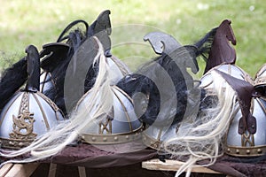 The Lord of the rings Fantasy: Rohirrim helmets