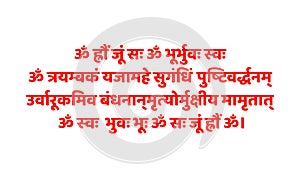 Lord shiva mantra in Sanskrit calligraphy. Shiv Mantra vector in red color
