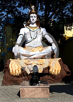 Lord Shiva in Meditative Pose