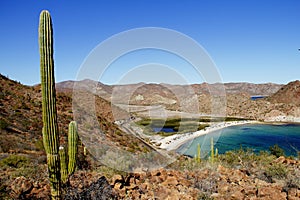 Saguaro, Mountains and the Loreto bays in the sea of baja california VI photo