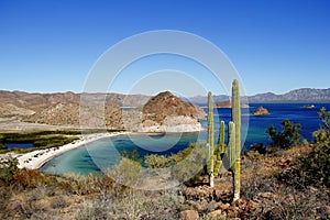 Saguaros, Mountains and Loreto bays in the sea of baja california, mexico VII photo