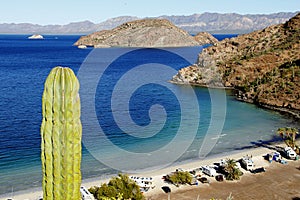 Saguaro and People camping in the Loreto bays in the sea of baja california, mexico XVII photo