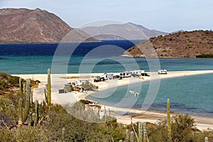 Saguaros in Loreto bays in the sea of baja california XXI photo