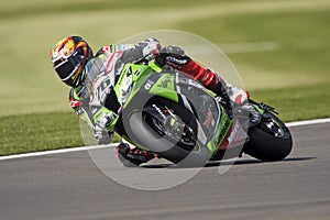 Loris baz #76