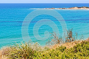 Lorne-Queenscliff Coastal Reserve - Anglesea