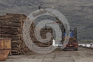 Lorry with a grab taking wood off and piling it by a railway track