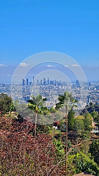 Los Angeles California view downtown skyline sunny day