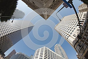 Los Angeles Downtown Skyline