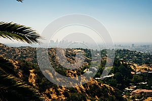 Los Angeles downtown skyline from the Hollywood Hills. LA, California, USA