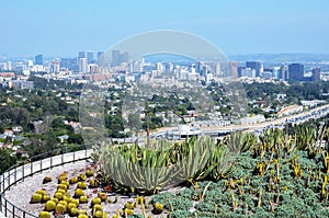 Los Angeles in the Fog The Magic of City Contours terrace with cacti