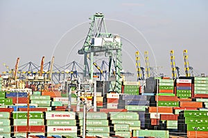 Los Angeles Harbor Shipyard Cranes and Containers