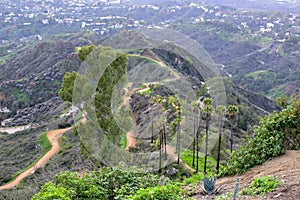 Los Angeles Nature from Mount Hollywood