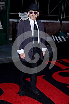 The Irishman Premiere