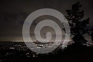 Los Angeles skyline - Night Time Panorama with view of tree branches