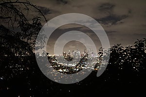 Los Angeles skyline - Night Time Panorama with view of tree branches