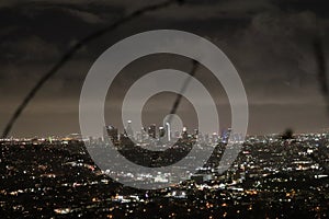 Los Angeles skyline - Night Time Panorama with view of tree branches