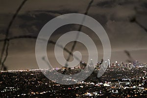 Los Angeles skyline - Night Time Panorama with view of tree branches