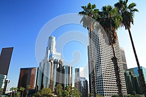 Los Angeles skyline and palm trees