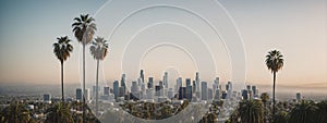 Los Angeles skyline with palm trees in the foreground