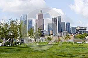 Los Angeles Skyline From Park