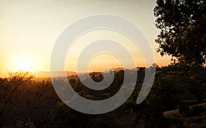 Los Angeles Skyline Sunset