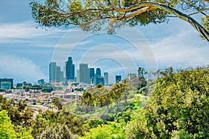 Los Angeles skyline is surrounded by trees from Elysian Park