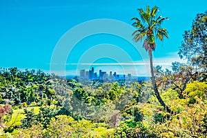 Los Angeles skyline is surrounded by trees from Elysian Park