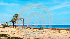 Los Arenales del Sol beach photo