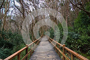 Los Arrayanes National Park