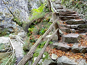 `Los Arrudos` track, Redes Natural Park, Caso municipality, Asturias, Spain photo