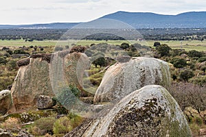 Los Barruecos Natural Monument, Malpartida de Caceres, Extremadura, Spain photo