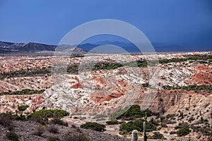 Los Colorados, camino a SeclantÃ¡s, Salta, Aergentina