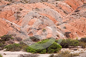 Los Colorados, colorful valley in Jujuy Province, Argentina